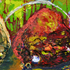 20100929094444-rock_landscape_2