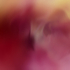 20100929122419-colorfield5