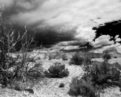Chimney_sweep_bw