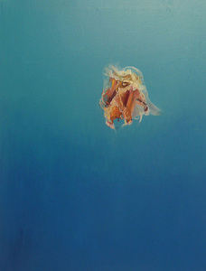 20100930134809-jellyfish1_artslant