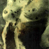 20100930045635-photopaintingn004