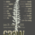 20100930132026-grow_flyer