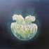 20100930135633-jellyfish3_artslant