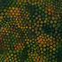 20100930225706-cellularpattern_green_ii