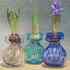 20100930231732-hyacinth_blue_cmlord