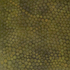 20100930232200-cellularpattern_green_iii
