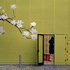 20101001234710-005__10