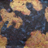 20101002054252-gold3lr__1_of_1_