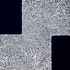20101002085058-29153