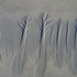 20101003094732-sand_trees1