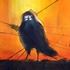 20101004061105-crow_show__2