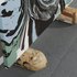 20101004144410-big_spill_detail