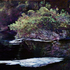20101004171255-dusk_at_the_slough