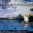20101004233122-pic01