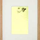 Adam_chapman_starling_drawing_929_45