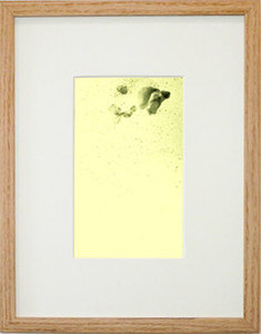 Adam_chapman_starling_drawing_929_45