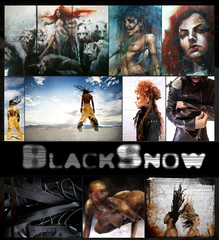 20101005125100-blacksnow650px200dpi