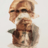 20101005141321-ancestor_4