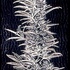 20101006072838-pomj_2