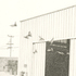20101006123936-untitled__bats__lower_res
