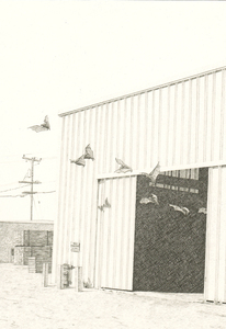 20101006123936-untitled__bats__lower_res