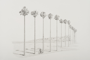 20101006124119-untitled__the_fake_palms_