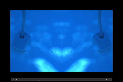 20101006141210-sucker_fish_vid_shot