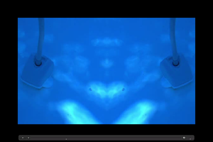 20101006141210-sucker_fish_vid_shot