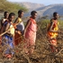 20101006144013-songs_of_the_masai