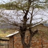 20101006144645-shelter