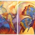 Mothtransfiguration