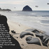 20101008085943-beachface