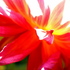 20101008194456-urban_vibrancy