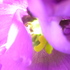 20101008092358-solar_insides