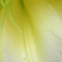 20101008102840-single_teardrop