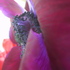 20101008200017-urban_planet_orbiting