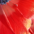 20101008111002-urban_gold_dust