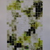 20101008112125-lichens__30x22