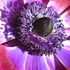 20101008194858-urban_galaxy_male_core
