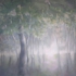 L-wrldnd-fogtrees-e2l