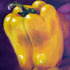 20101010122742-pear_9_24