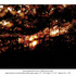20101011002745-sunset_behind_the_forest_2001