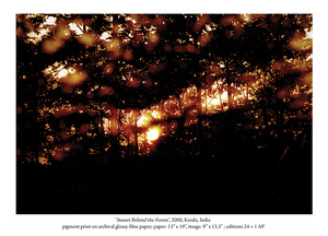 20101011002745-sunset_behind_the_forest_2001