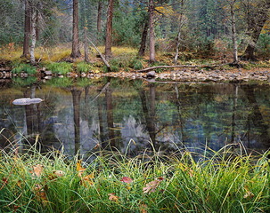 Grasses and Leaves, Fall, Merced River,Charles Cramer