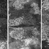 20101012075446-molten_moss