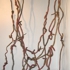 Rootvines