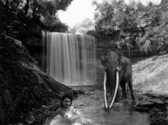 Gp_1468_-_panchatantra_small