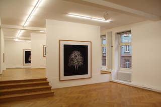 Exhibition view from NIGHT / COLOURS,Ralf Peters