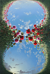 "Eternal Sleep",Chris Barnard