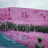 20101014142107-richardmosse3_1286900860